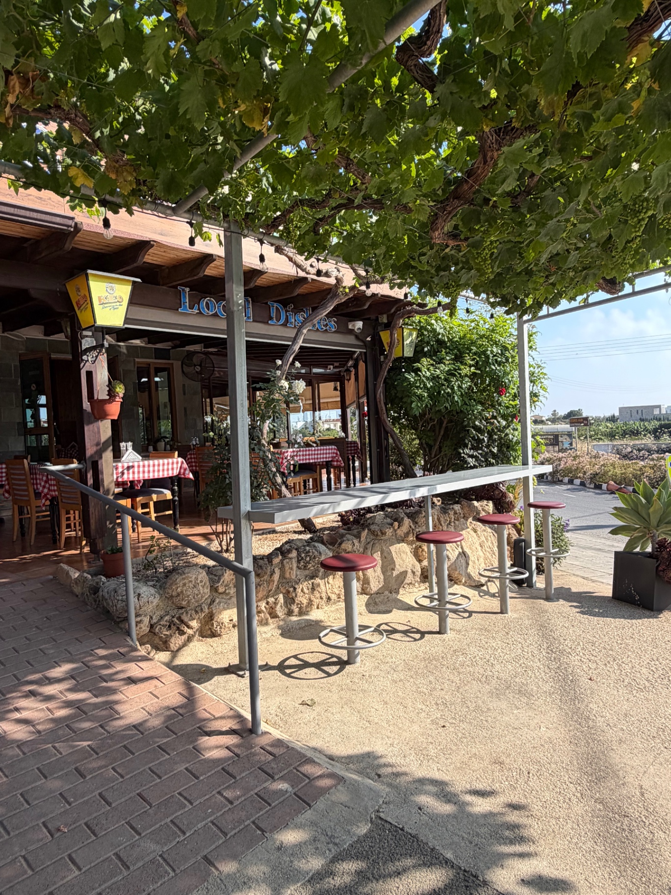 Vine-Covered Terrace